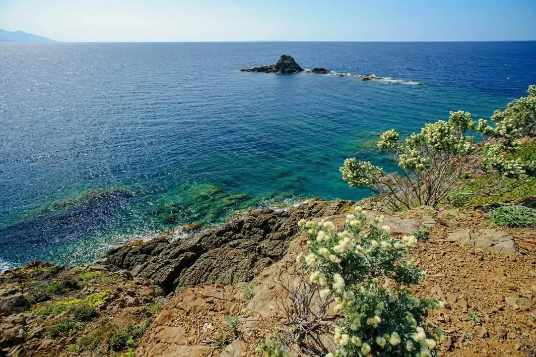 Sunny Courtyard Apartment Piombino
